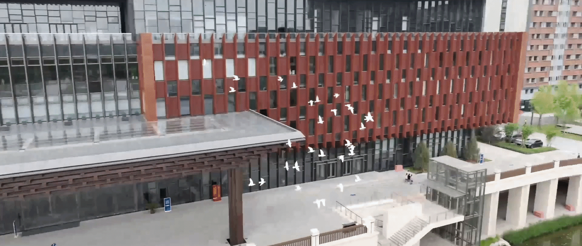 《解码人类文明新形态》第一集《发展“新”动力》-图片6